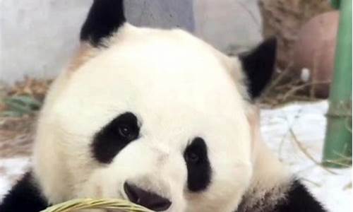 财经直播萌兰(萌萌财经)_https://www.kskjyy.com_装修公司_第1张