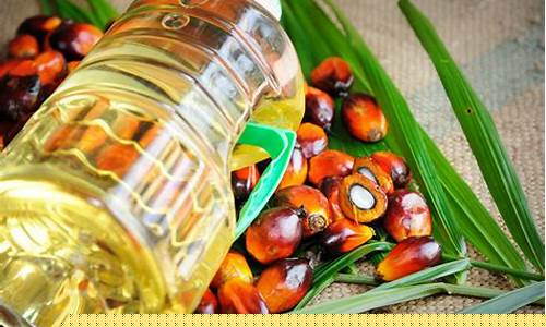 棕榈油期货直播(棕榈油期货去哪里看数据)_装修公司_第1张_装修网 棕榈油期货直播(棕榈油期货去哪里看数据)_https://www.kskjyy.com_装修公司_第1张