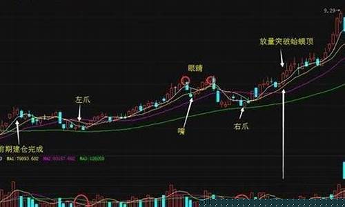 金蟾股市直播(金蟾直播篮球)_https://www.kskjyy.com_装修公司_第1张