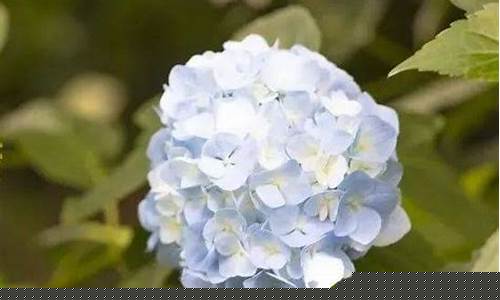 四大财经直播(四大财经直播平台)_https://www.kskjyy.com_效果图_第1张