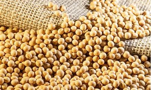 巴西大豆期货直播(巴西大豆期货)_https://www.kskjyy.com_设计报价_第1张